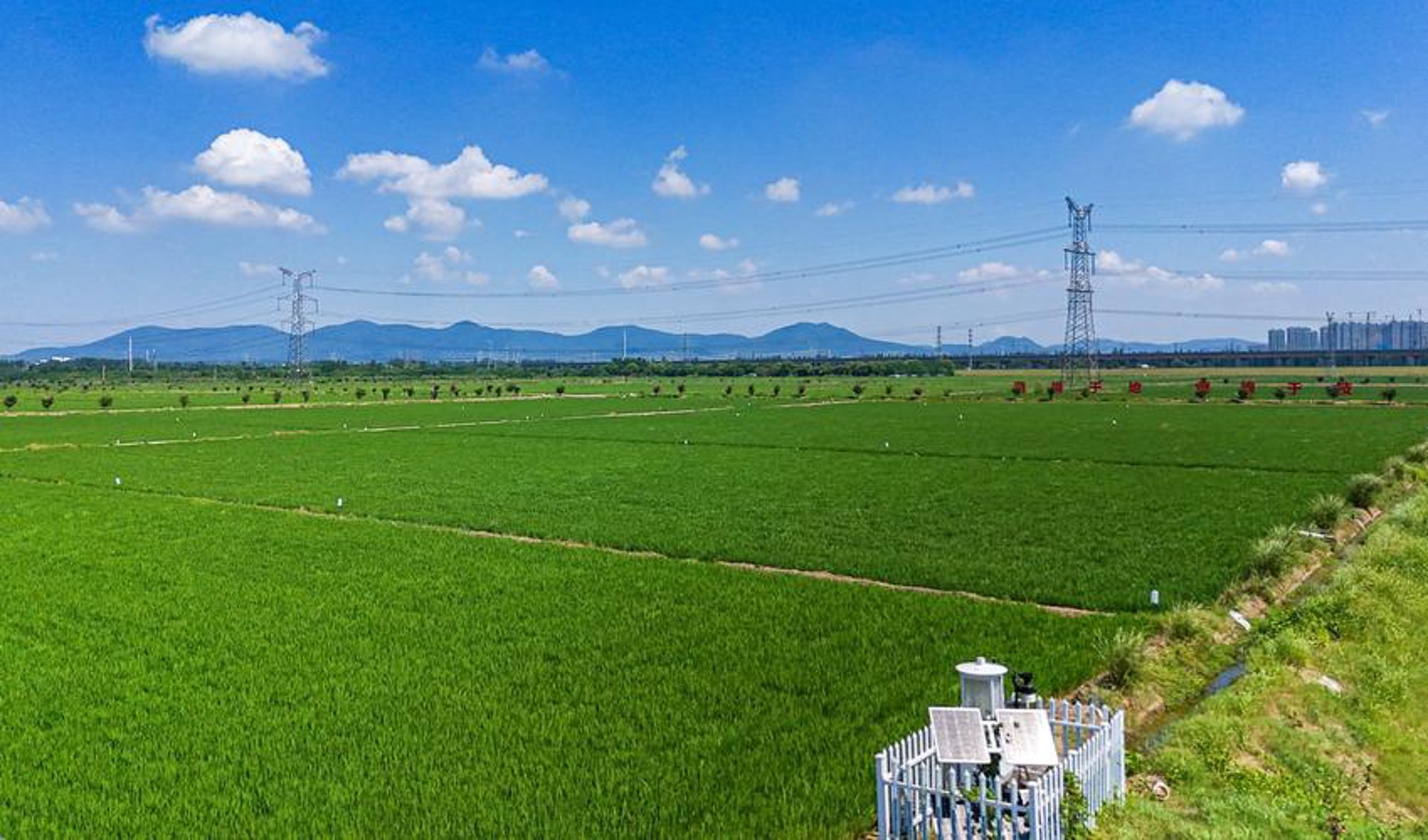 供销一家